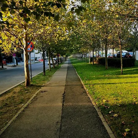 Herastrau Nordului Διαμέρισμα